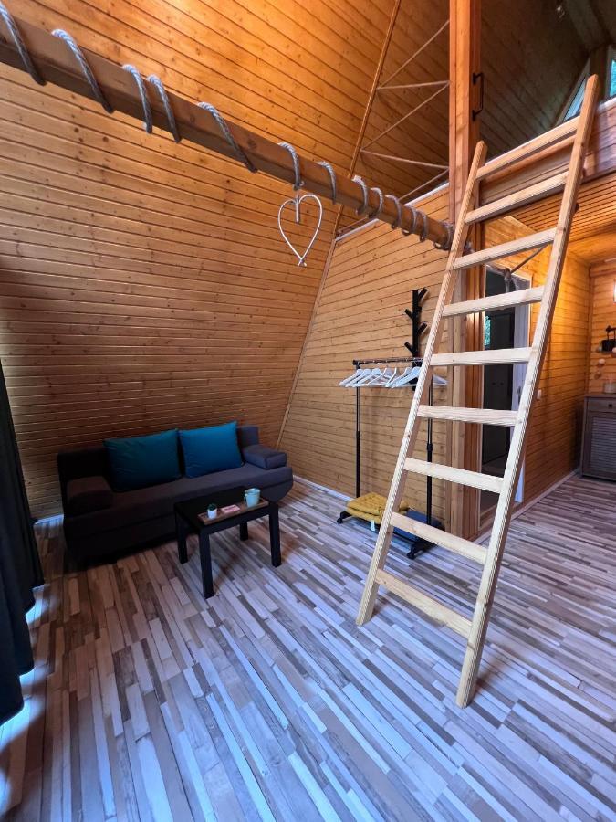Cabane A-Frame Svinita Luaran gambar