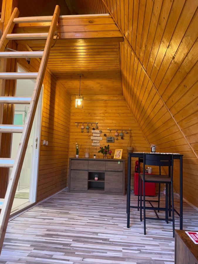 Cabane A-Frame Svinita Luaran gambar