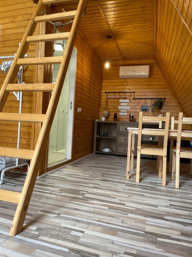 Cabane A-Frame Svinita Luaran gambar