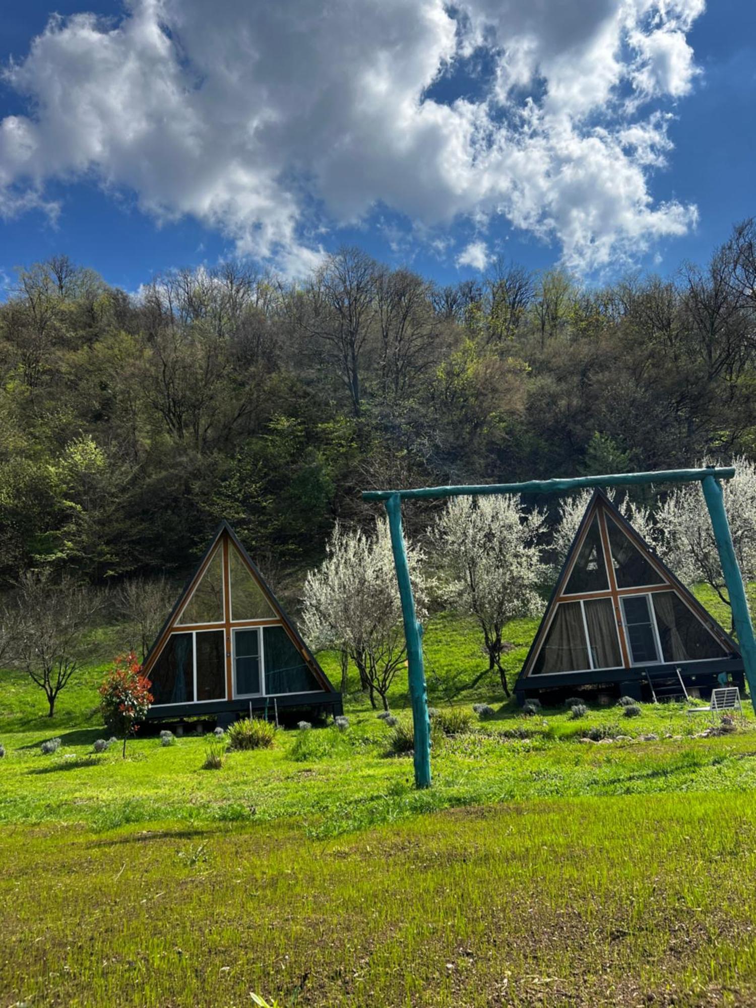 Cabane A-Frame Svinita Luaran gambar