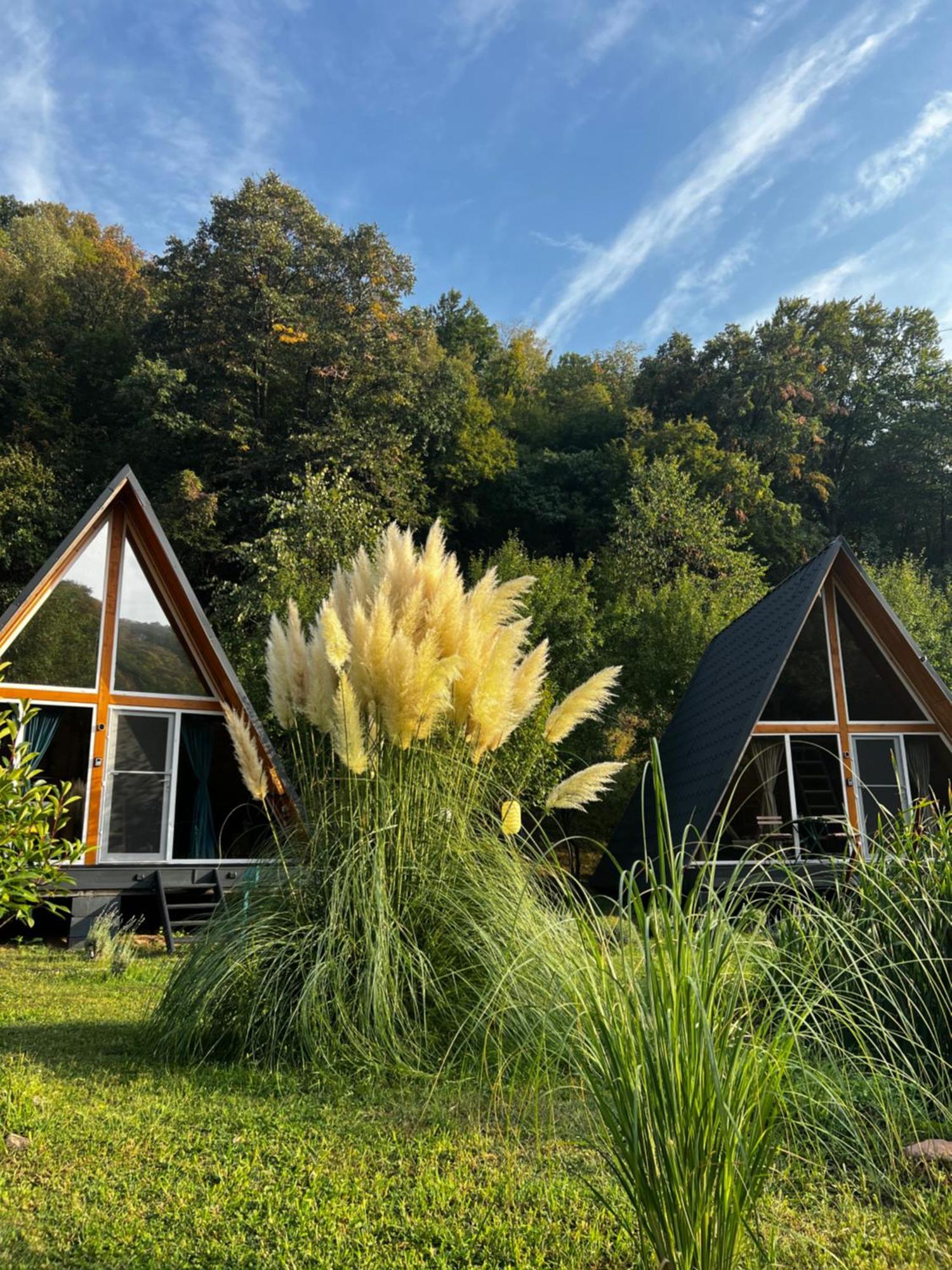 Cabane A-Frame Svinita Luaran gambar