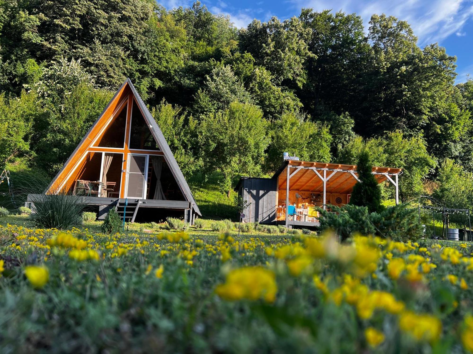 Cabane A-Frame Svinita Luaran gambar