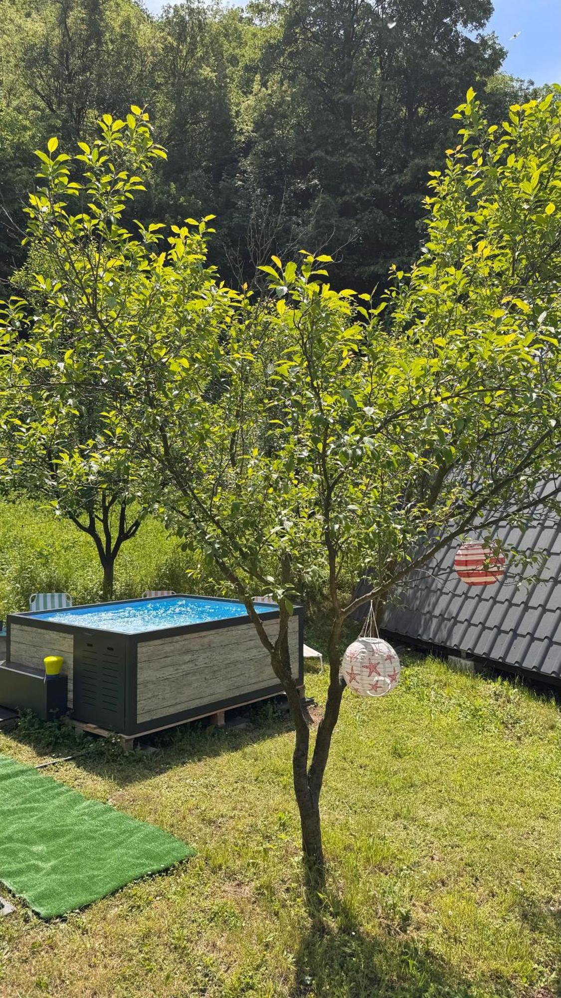 Cabane A-Frame Svinita Luaran gambar