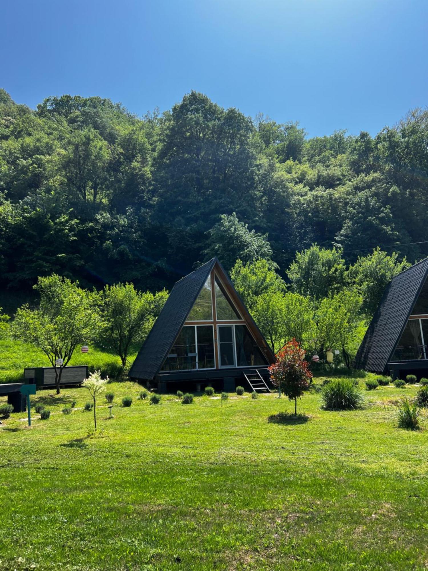 Cabane A-Frame Svinita Luaran gambar